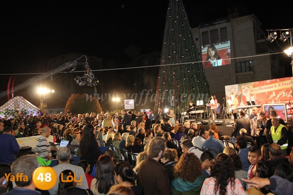 tree milad shajara (51).JPG